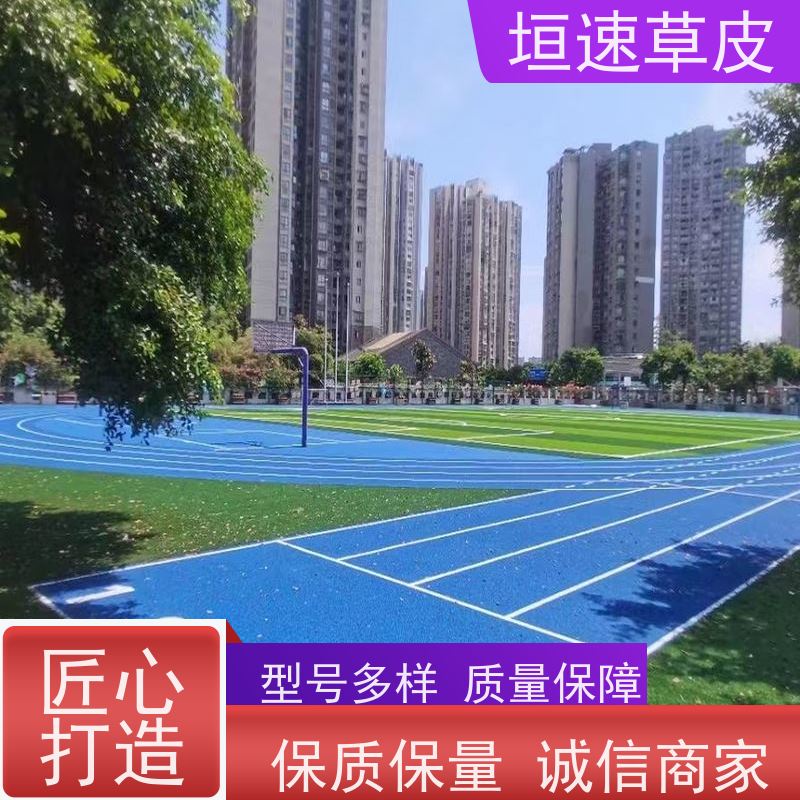 垣速 校园足球场建设环保耐磨 加密人造草坪造价 湖州棒球场草坪铺设
