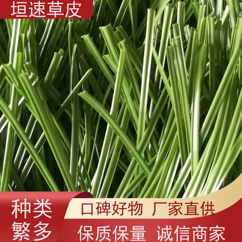 垣速 标准门球场建设回弹率好 足球场地草皮专卖厂家 宁波门球场建设
