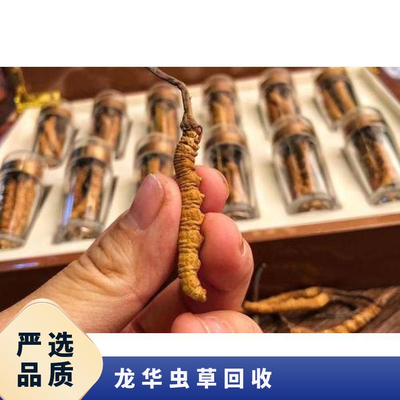 龙华虫草回收实体店商家 附近档口高价收购 附图询价