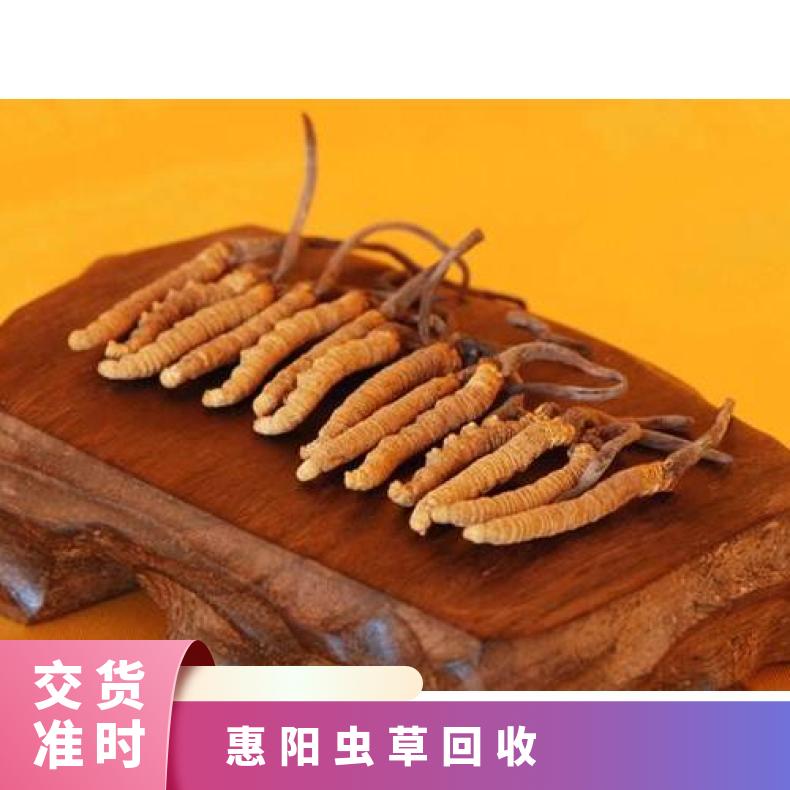 惠阳虫草回收商家地址 随时可上面鉴定评估回收