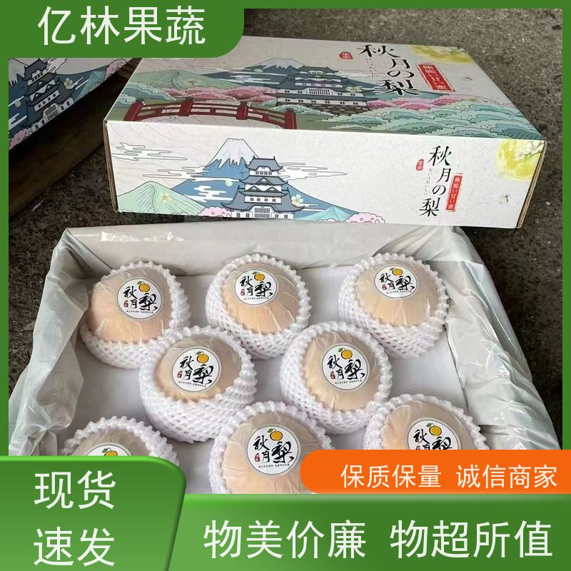 基地供应 成活率高 特产果树梨幼苗 中秋红梨树苗