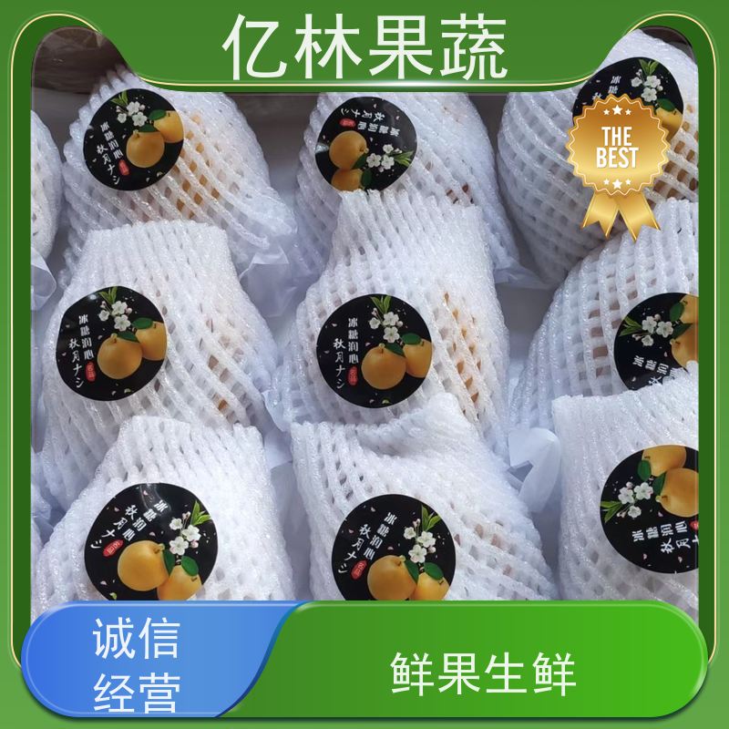 亿林苗木 玉露香梨树苗 基地培育 晚熟品种梨 口感脆甜