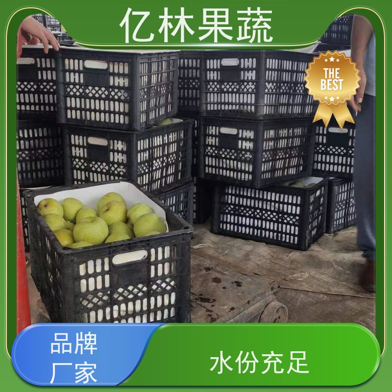 基地供应 成活率高 新农酥梨 现挖现发 早酥红梨苗
