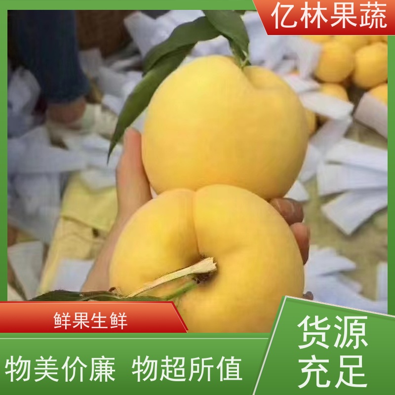 亿林苗木 秋彤桃 三公分现挖现发 品种齐全 成活率高