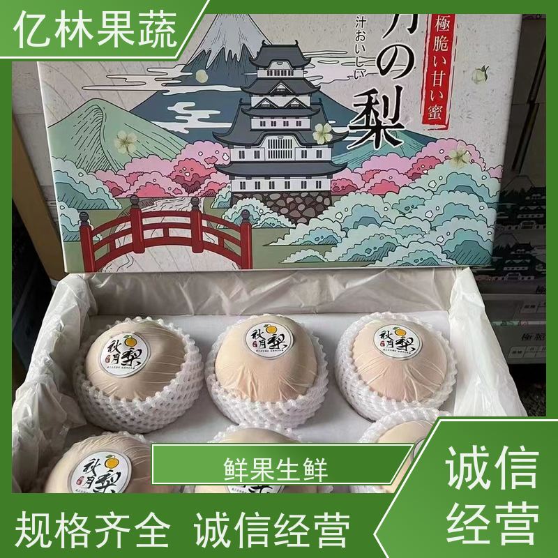 基地供应 冬桃苗 现挖现发新鲜 粗两公分 成活率高