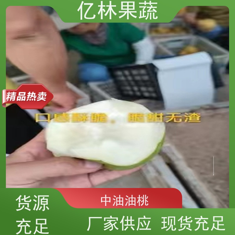 基地供应 果实饱满味道好 晚熟品种梨 口感脆甜 早酥红梨苗