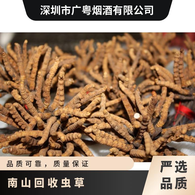 南山回收虫草行情介绍 附近档口冬虫夏草高价回收