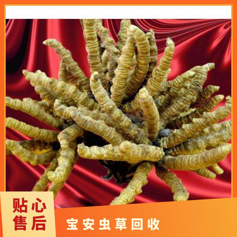 宝安虫草回收行情走势介绍 附近档口可上门收购