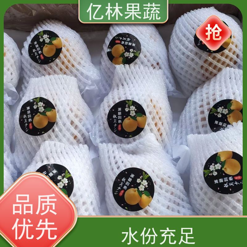 亿林苗木 金二十世纪树苗 根系饱满成活率高 梨树果苗批发 自家园林