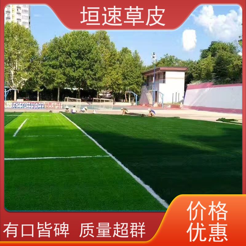 垣速 建设足球场草坪环保认证 篮球场草坪施工队 杭州门球场新建