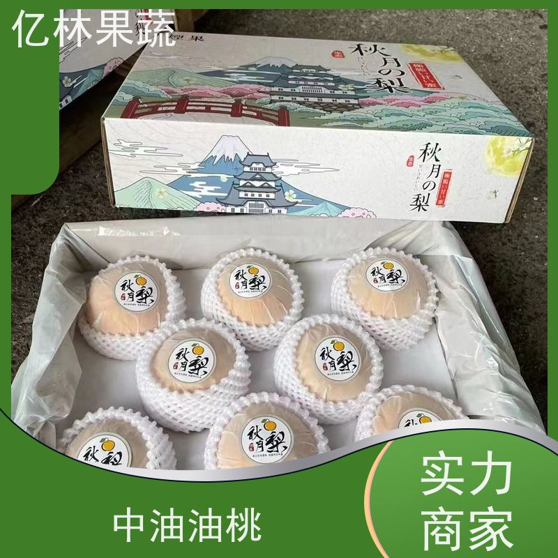 亿林苗木 根系饱满成活率高 黄尊蜜梨 口感香甜 中秋红梨树苗