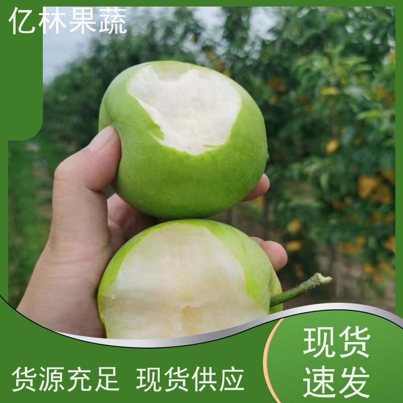 亿林苗木 中华玉梨树苗 果实饱满味道好 三公分现挖现发 品种齐全