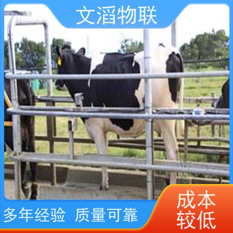 3-60kg智慧农贸电子秤 溯源零售称 AI追溯秤 称重计价 凯士CAS