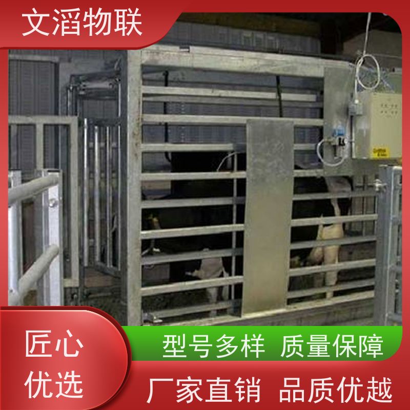 无人值守自动称重系统 朗科电子汽车衡 地磅电子秤 精准耐用