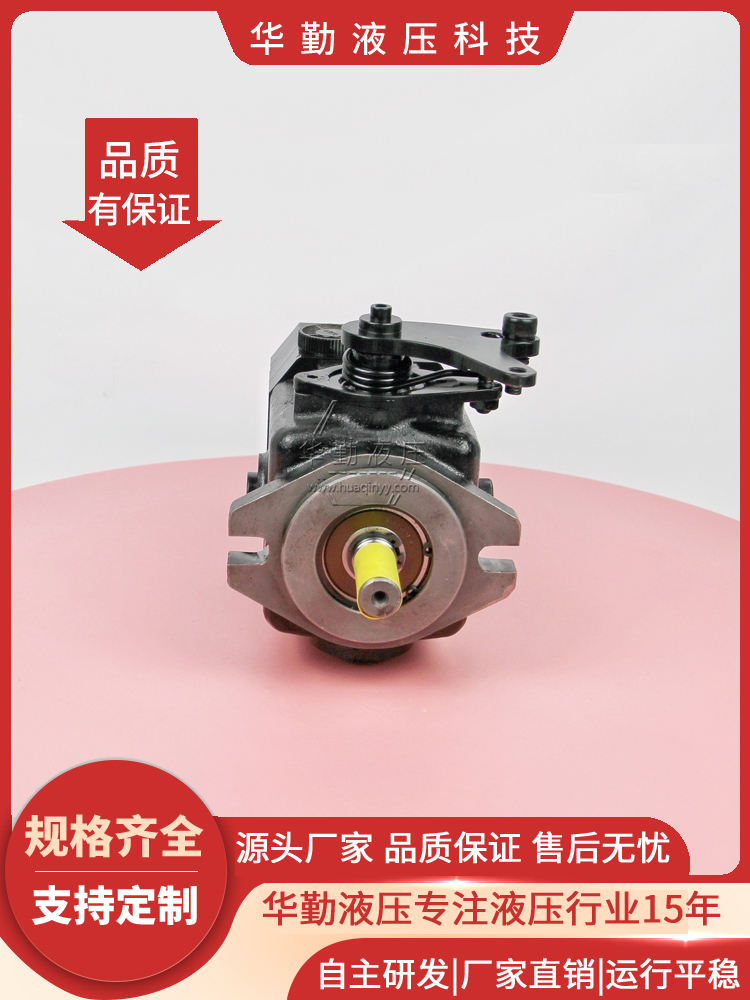 华勤液压 实力商家，一站式服务 支持定制 CHD5022TSL扫路机柱塞泵