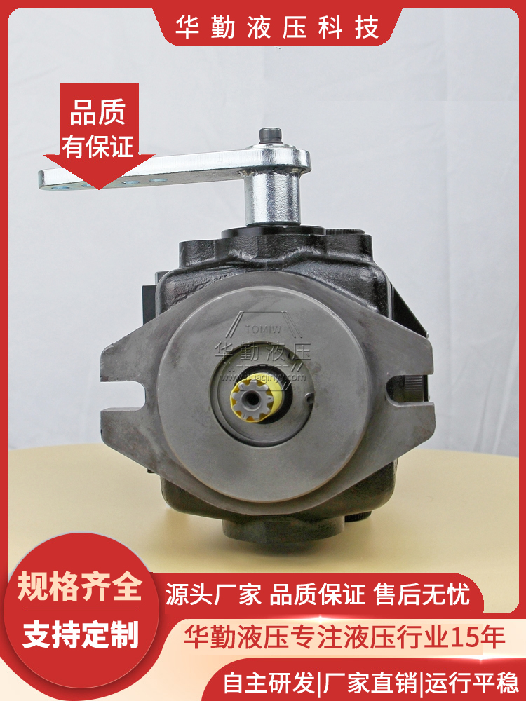 小型轴向柱塞泵 工作稳定可靠，专业值得信赖 规格齐全 华勤液压