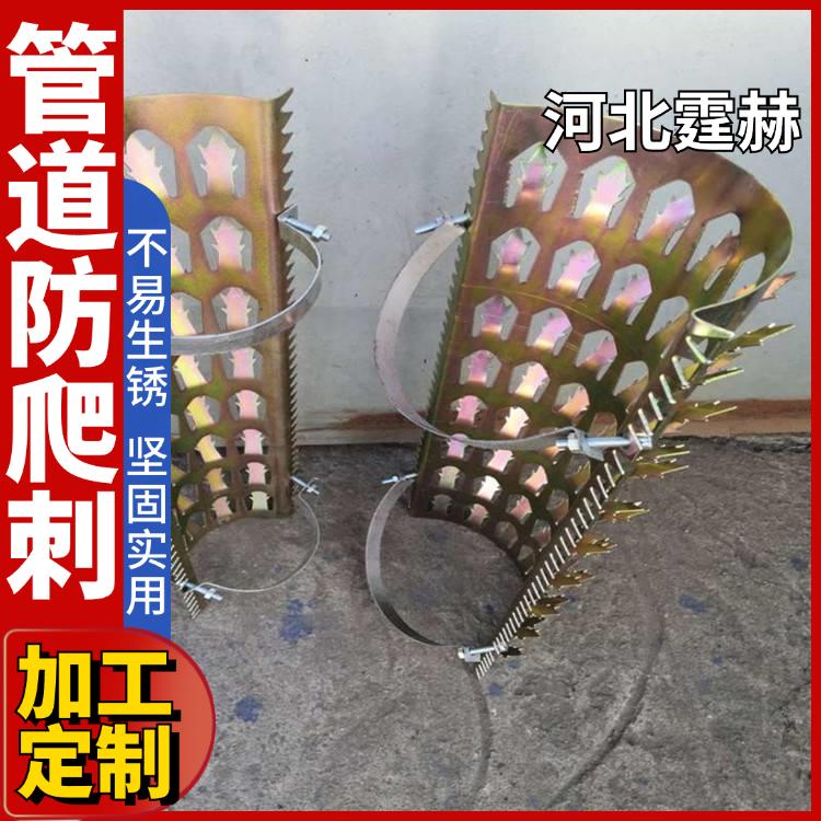 霆赫 燃气管道防爬刺 镀锌刺钉 防小偷防鼠围墙排水管防盗刺 尖端锋利