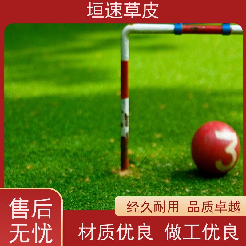 垣速 5人制足球场建造尺寸规格 人工假草皮价钱 杭州足球场建筑