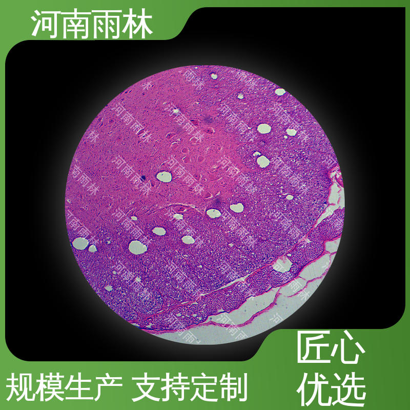 质量保障 售后无忧 植物病害标本 雨林教育工程高等