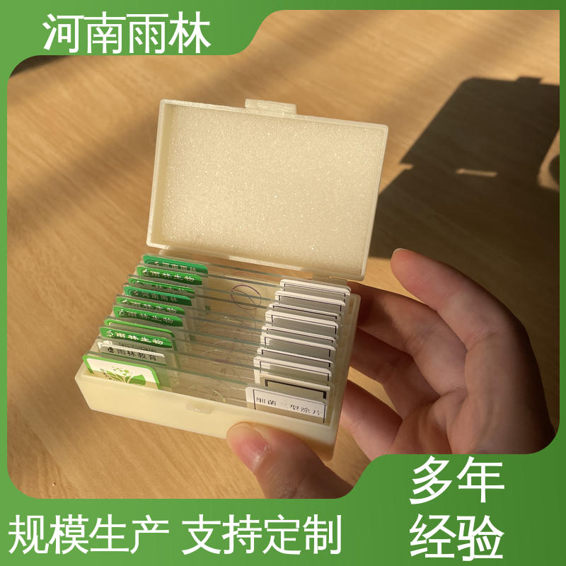 雨林教育 售后无忧 植物切片 质量保障 支持定制