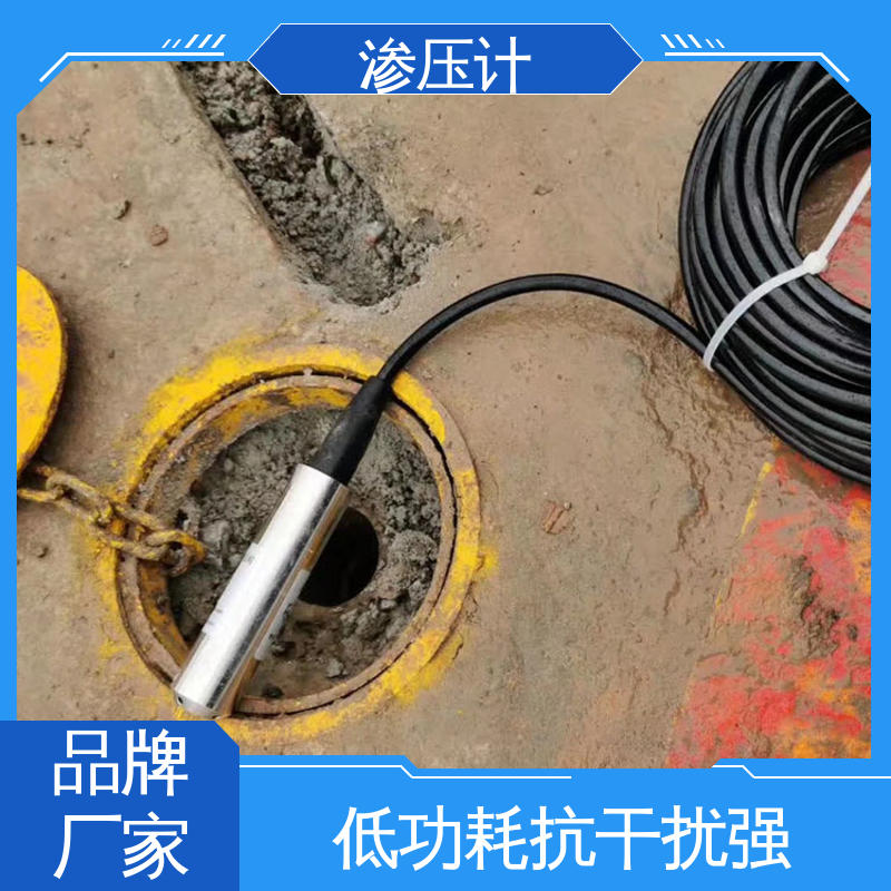  岩体内部渗透水压 堤防水工建筑物 硅压阻式渗压计 全天候观测