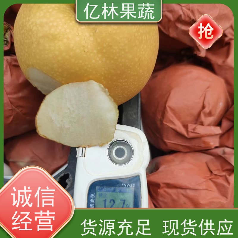 基地供应 中华玉梨树苗 成活率高 晚熟品种梨 口感脆甜
