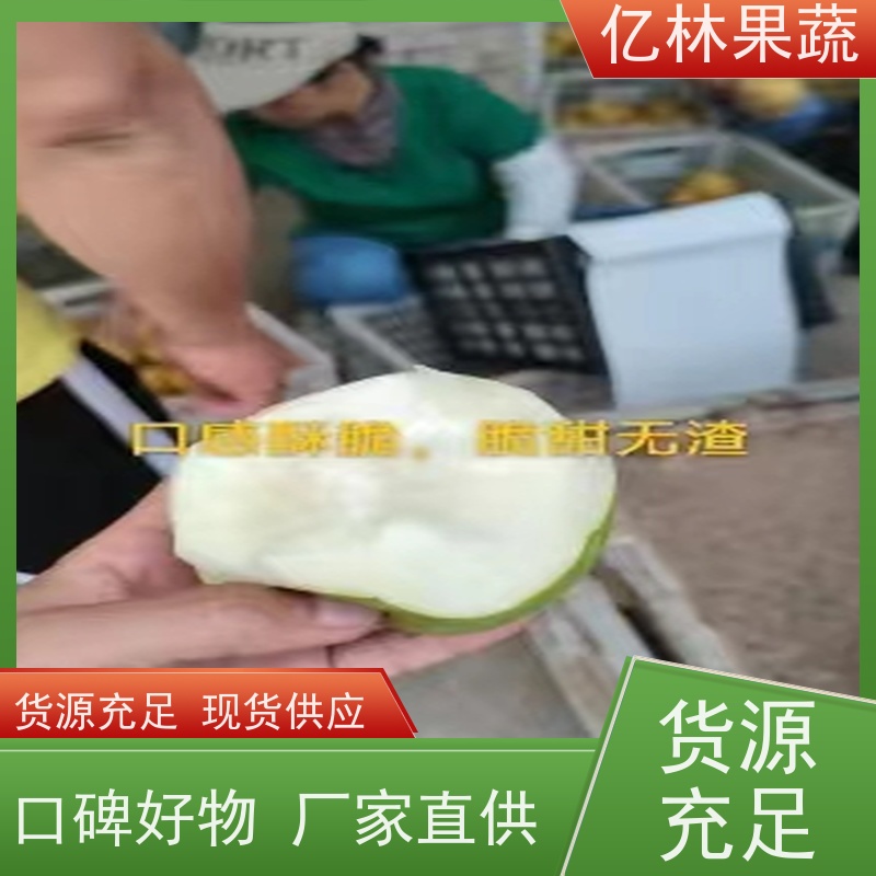 亿林苗木 园林嫁接桃苗 特产果树桃幼苗 成活率高