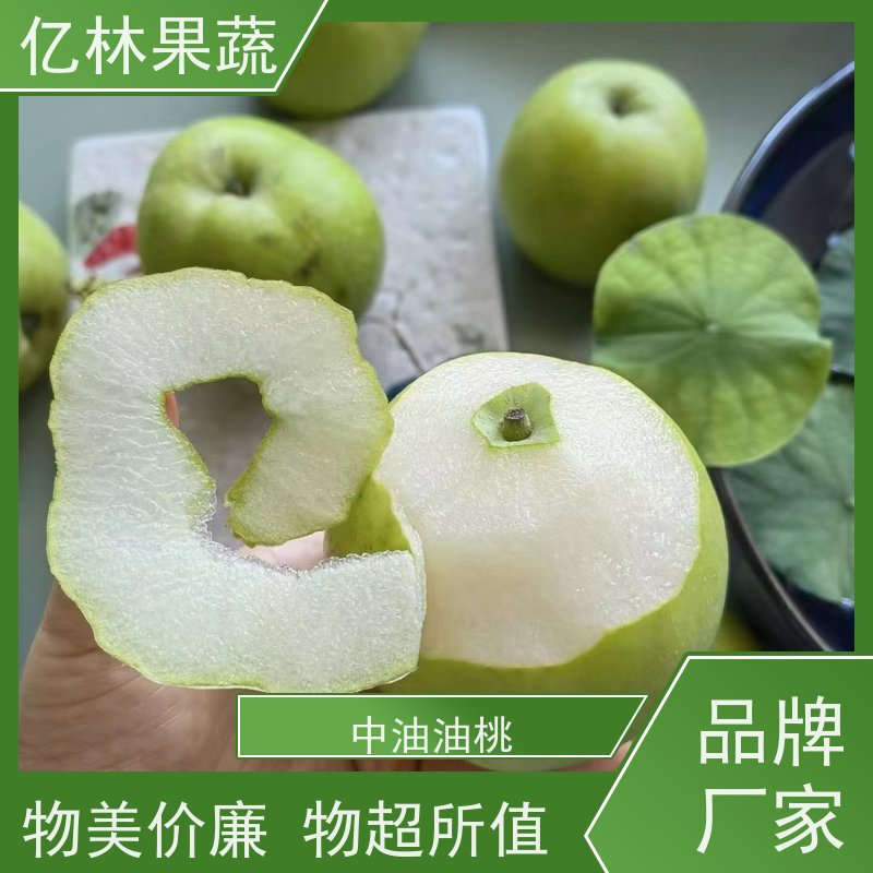 基地供应 早酥红梨苗 成活率高 彩虹梨树苗 粗两公分
