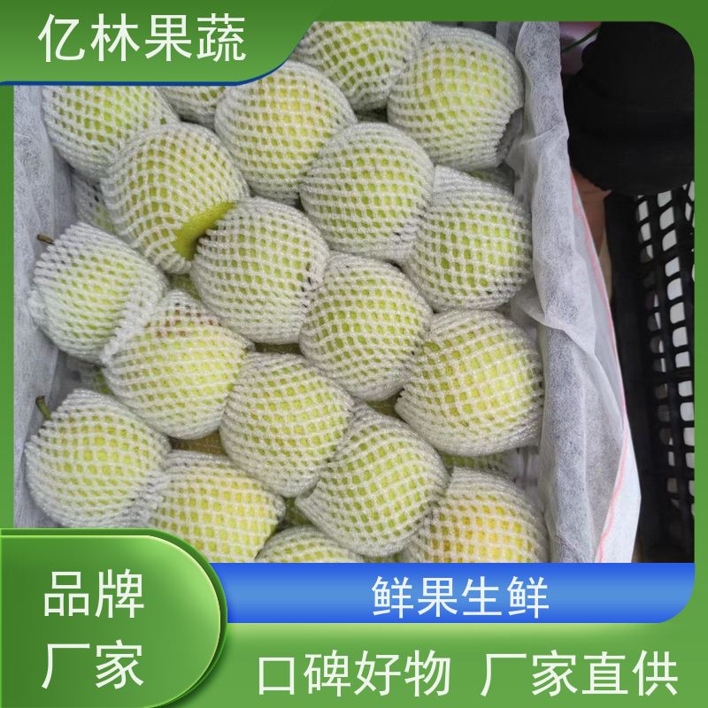 基地供应 园林嫁接桃苗 南北方种植 桃树果树苗 果实饱满味道好
