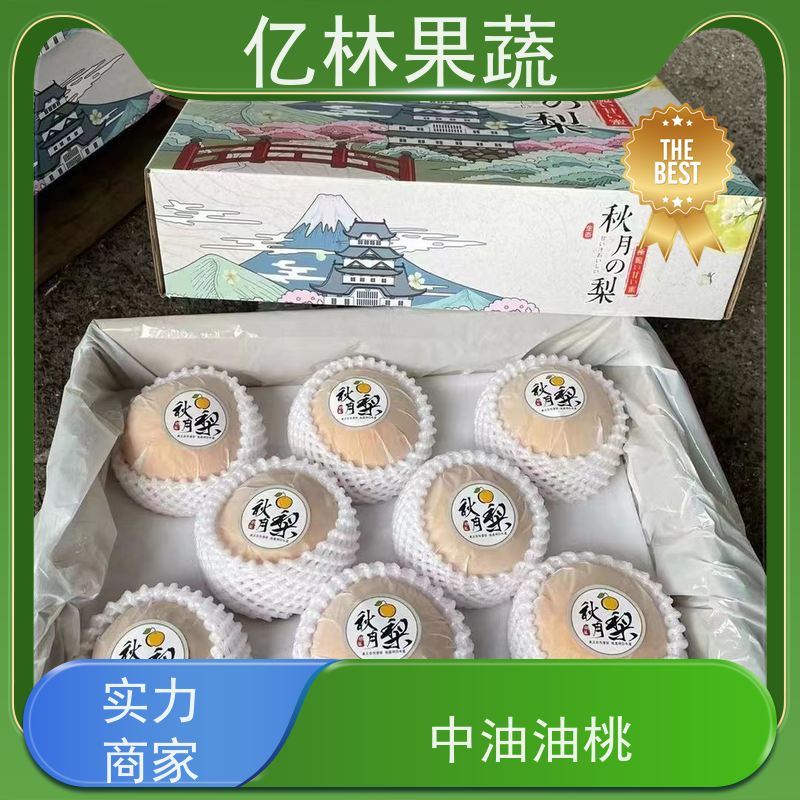 亿林苗木 果实饱满味道好 特产果树梨幼苗 早酥梨树苗