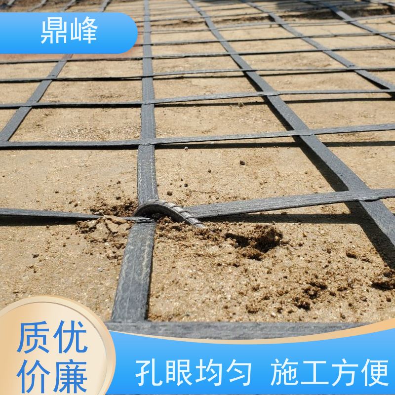 鼎峰 聚乙烯土工格栅 抗氧化 具有一定的柔软性