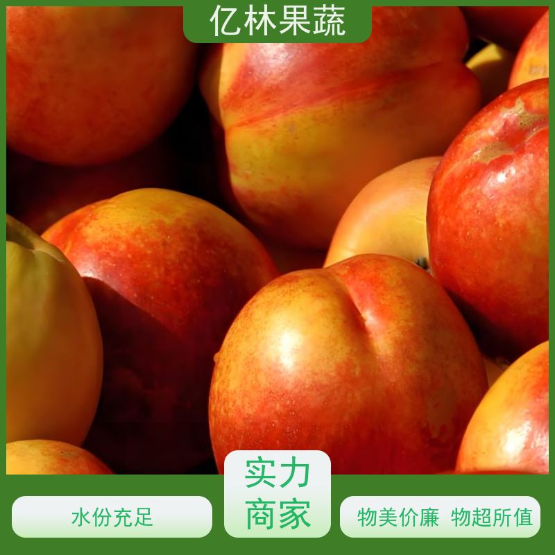 亿林苗木 玉露香梨树苗 成活率高 新农酥梨 现挖现发