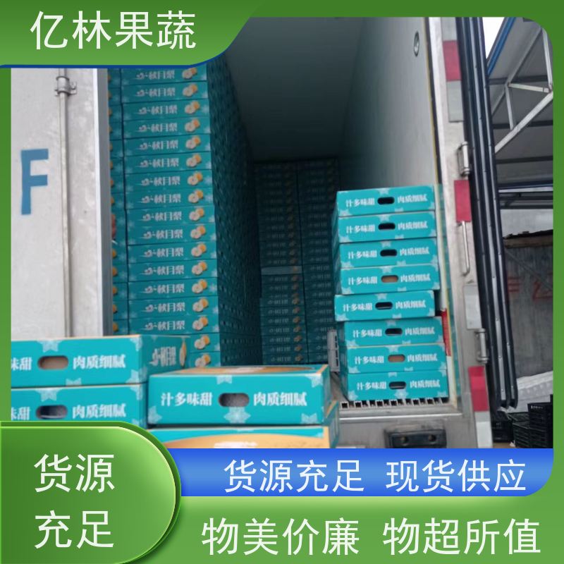园林直发 晴王葡萄 圆形 礼盒 国产 吨位批发 果实饱满味道好