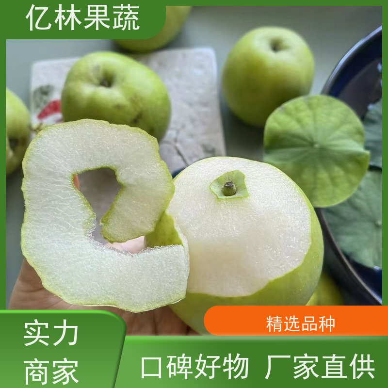 亿林苗木 果实饱满味道好 特产果树梨幼苗 早酥梨树苗