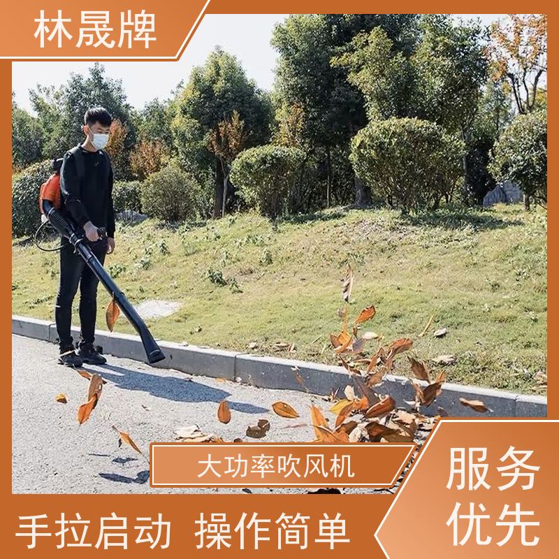 林晟牌 工地清理用吹灰机 风机 携带方便 使用效果好 长期供应