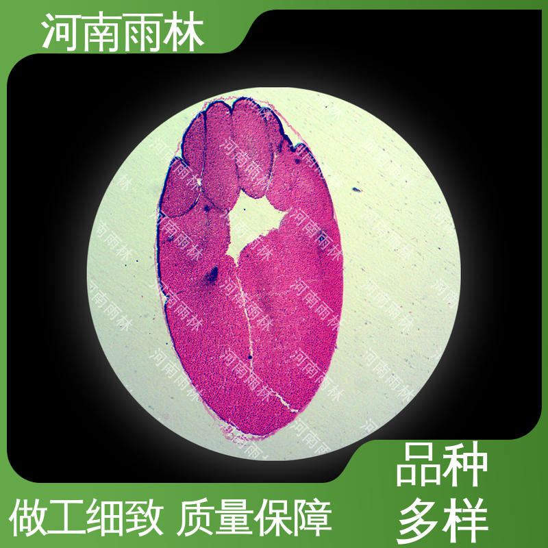 质量保障 支持定做 售后无忧 显微标本 雨林教育工程