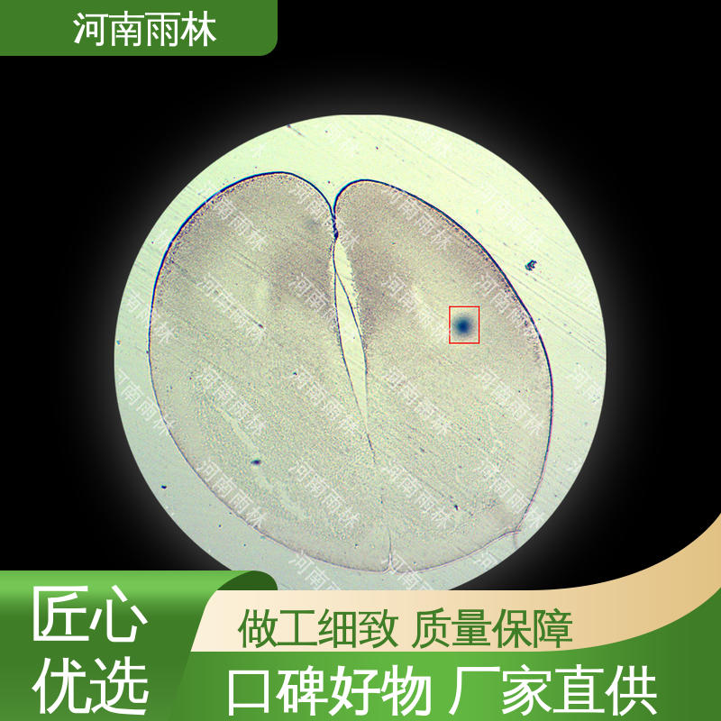 雨林教育工程 厂家销售 植物标本 售后无忧 质量保障