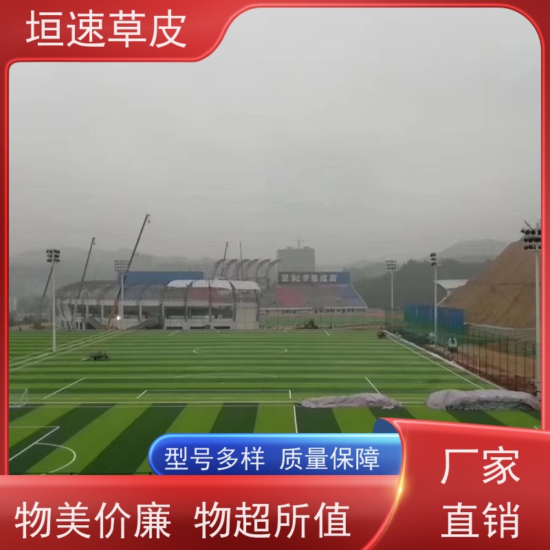 垣速 嘉兴门球场建造 足球场建设施工耐用强劲 篮球场人造草做法流程