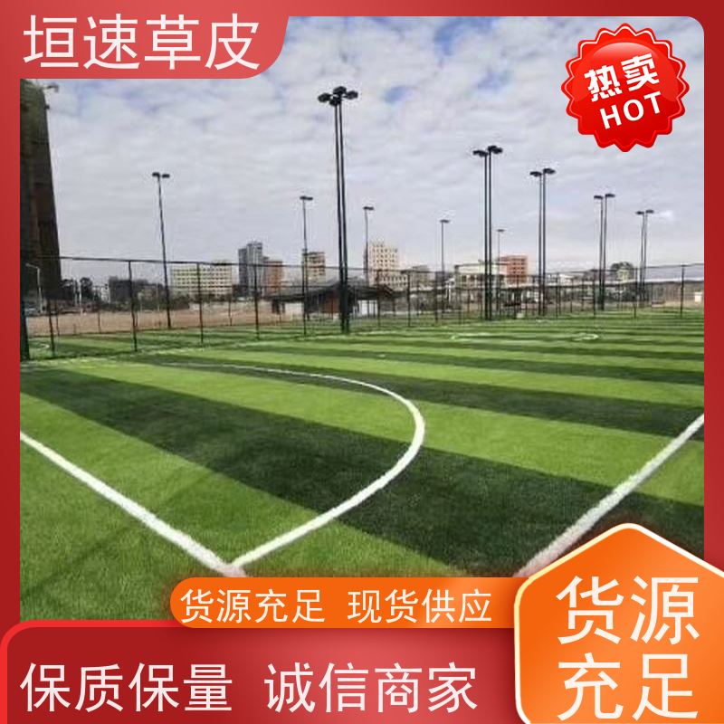 垣速 学校足球场改造防腐耐磨 人造草网球场单价 上海足球场承建