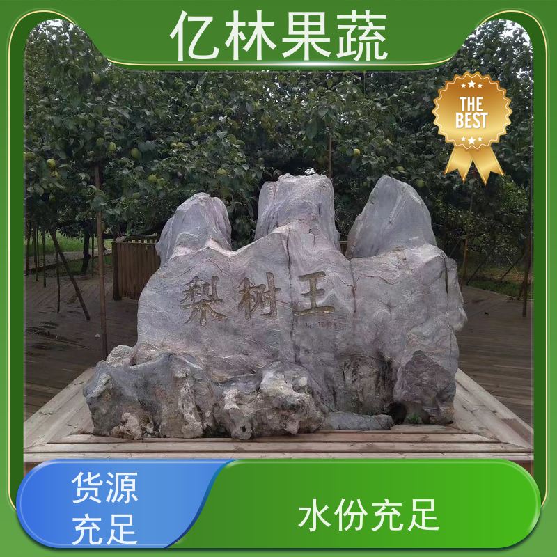 亿林苗木 晚熟桃树苗 现挖现发新鲜 粗两公分 成活率高