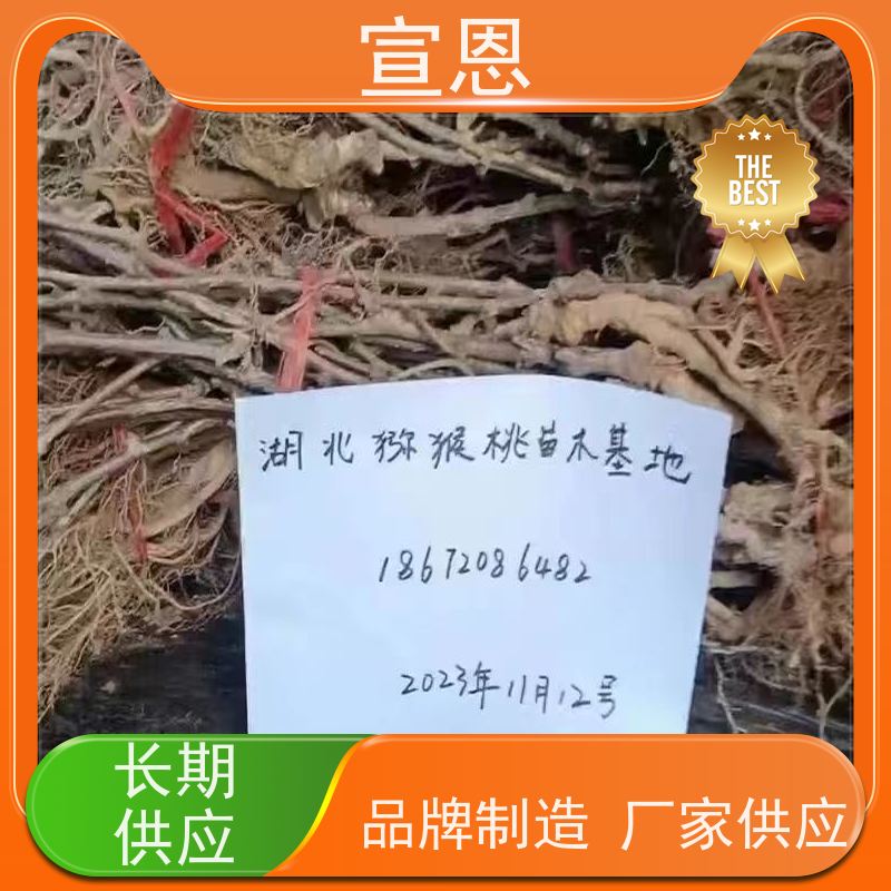 宣恩 猕猴桃树苗子1米高、 红肉红心猕猴桃苗子 3元一棵 欢迎采购
