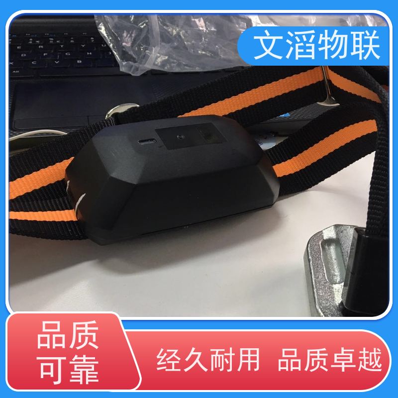 文滔物联 防水畜牧B超 项圈GPS定位发情监测 厂商 