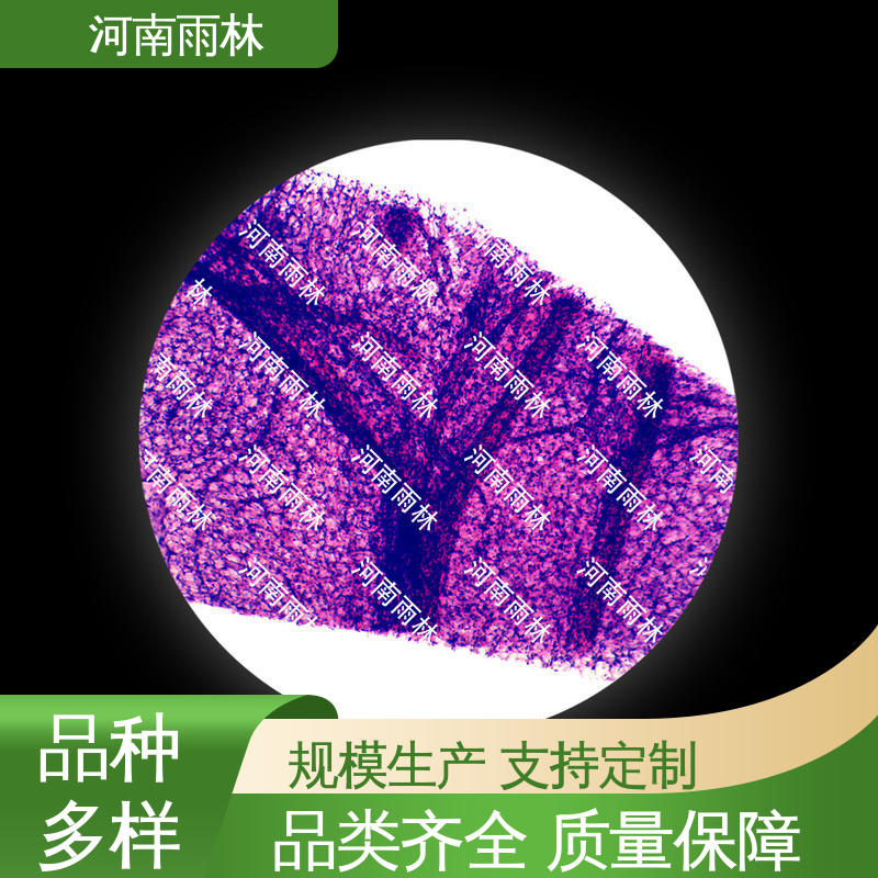 雨林教育 售后无忧 植物切片 支持定做 质量保障