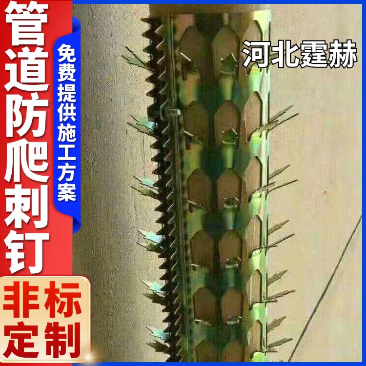 霆赫 管道防攀爬倒刺 圆筒刺钉 小区围墙防盗刺 防鼠刺 不易生锈