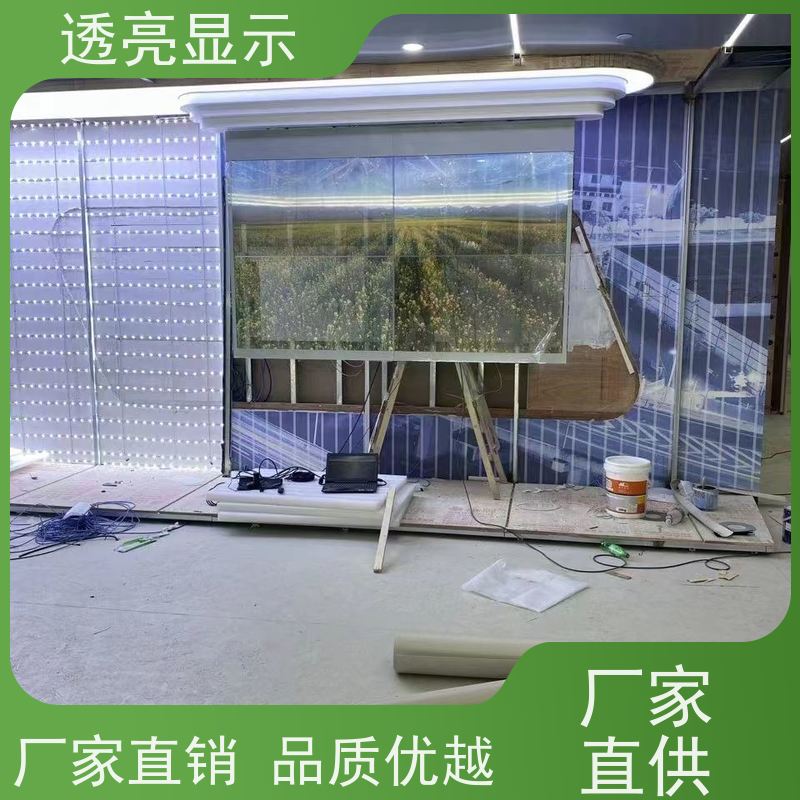 透亮显示 小尺寸透明oled屏 高清全彩 生产厂家