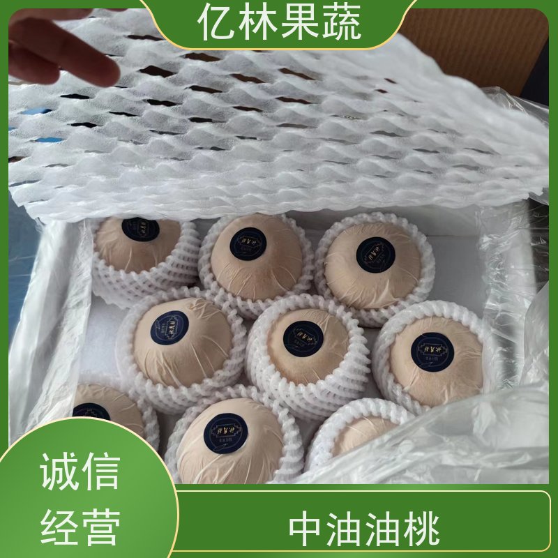 亿林苗木 红星梨树苗 根系饱满成活率高 南北方种植 香酥梨果树