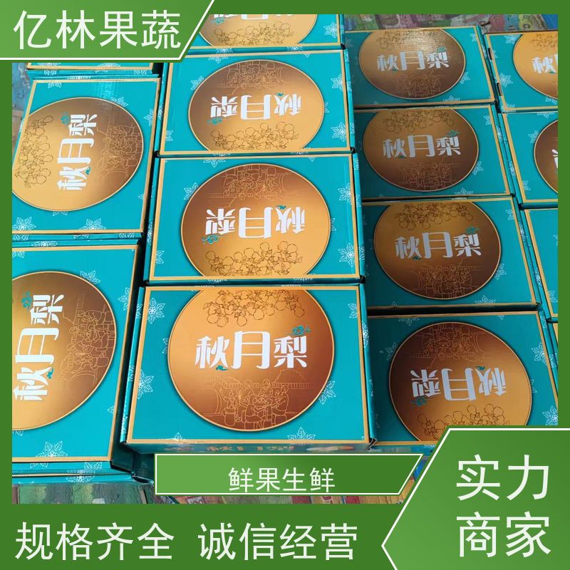 亿林苗木 基地直发 新品种梨苗 香甜可口 玉露香梨树苗