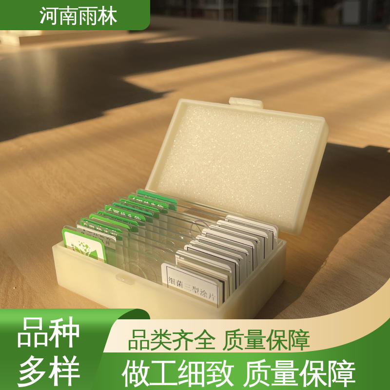 雨林教育 支持定做 质量保障 售后无忧 教学切片