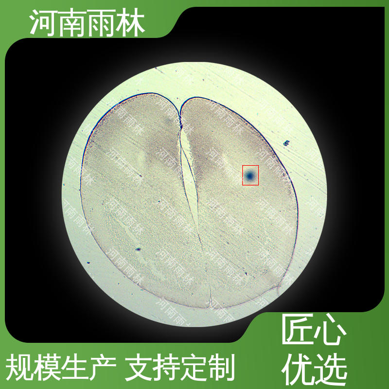 植物标本 支持定做 质量保障 售后无忧 雨林教育工程