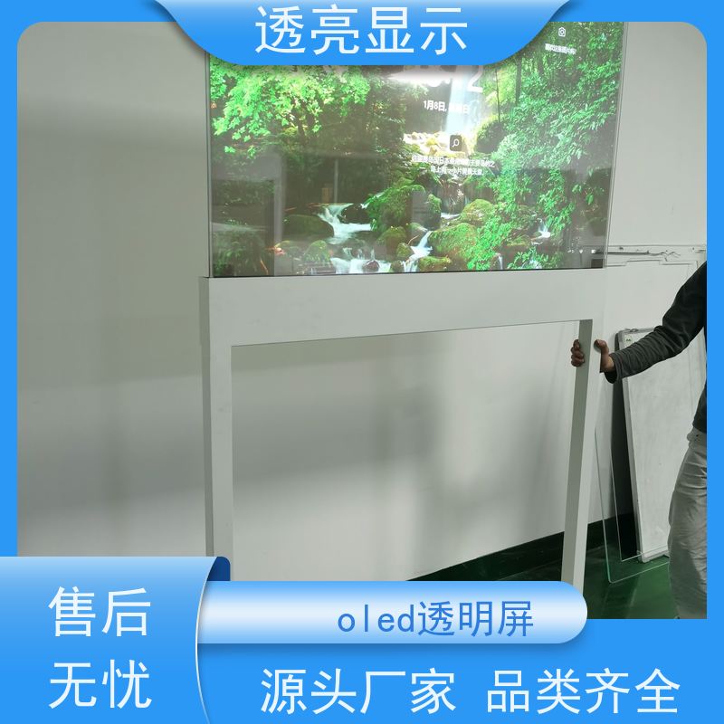透亮显示 oled透明屏55寸 可定制和可扩展的设计 生产厂家